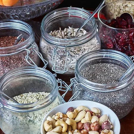 招待所 # Het Pauwennest 登博斯